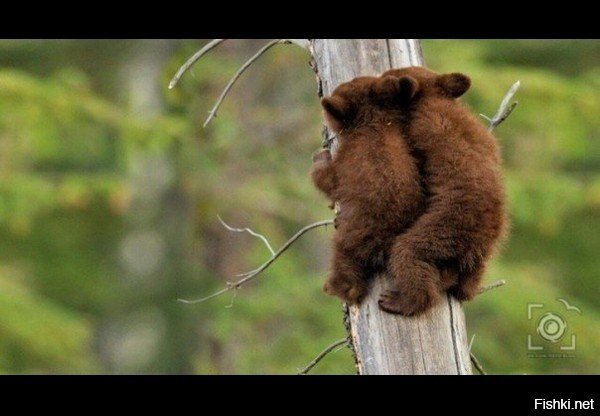 - Не толкайся, упадем