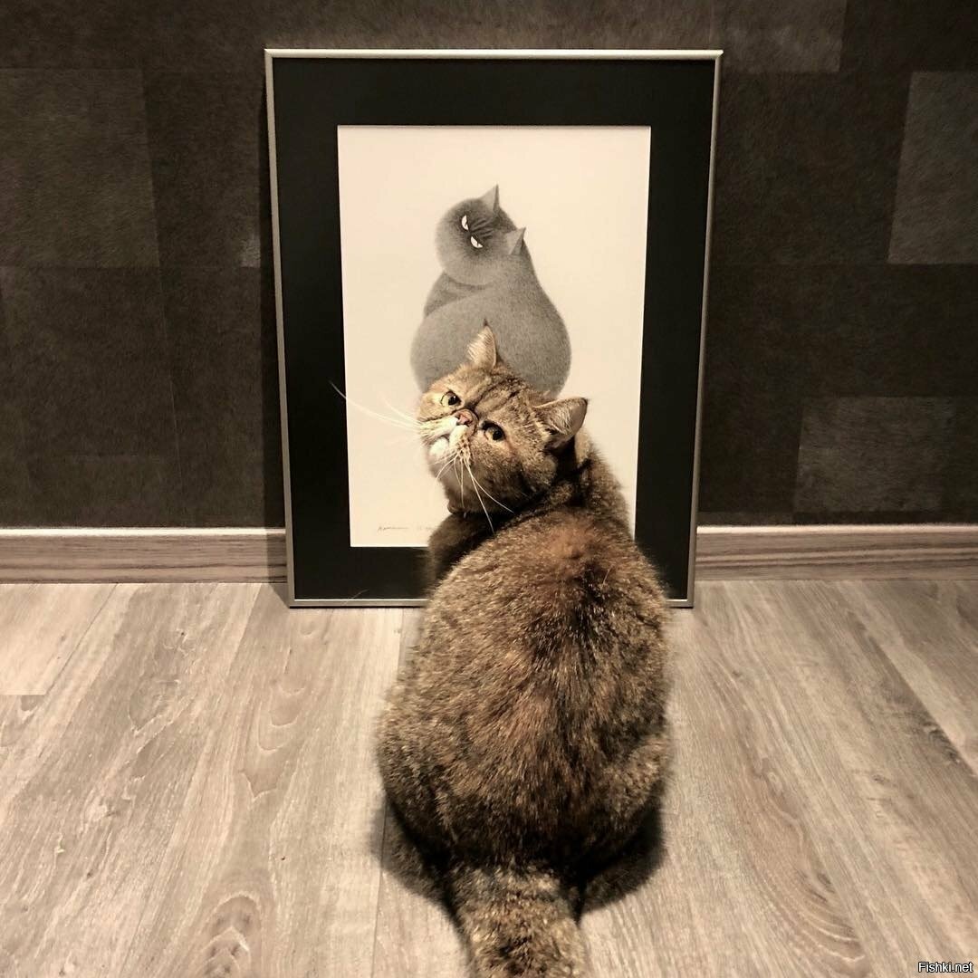 - Василий, как тебе