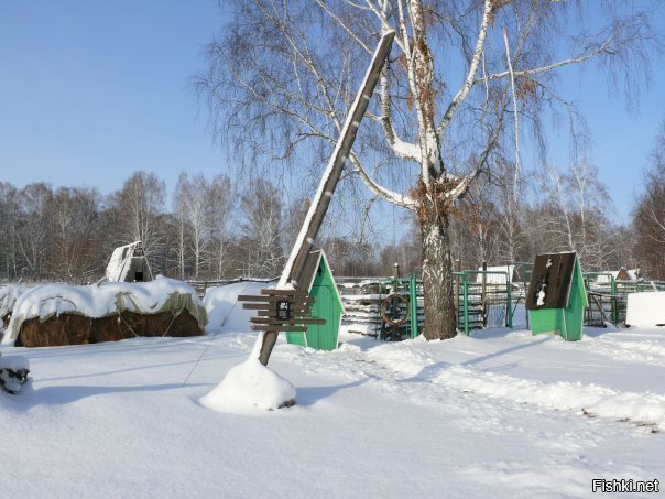 "В Серебряном Боре, у въезда в Дом отдыха