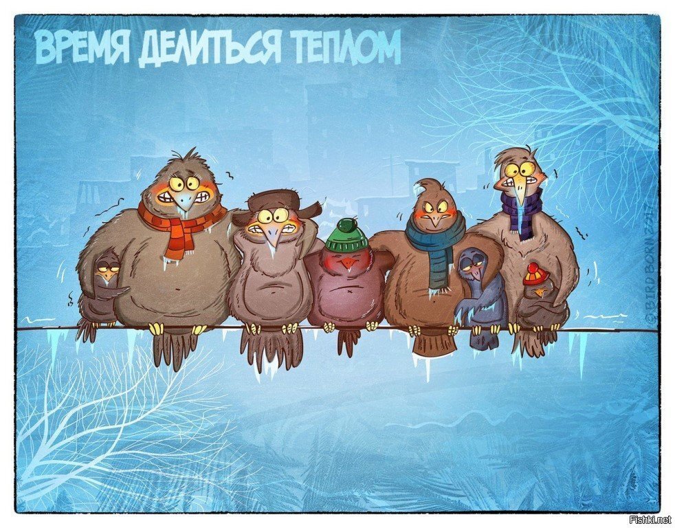 Доброе утро 