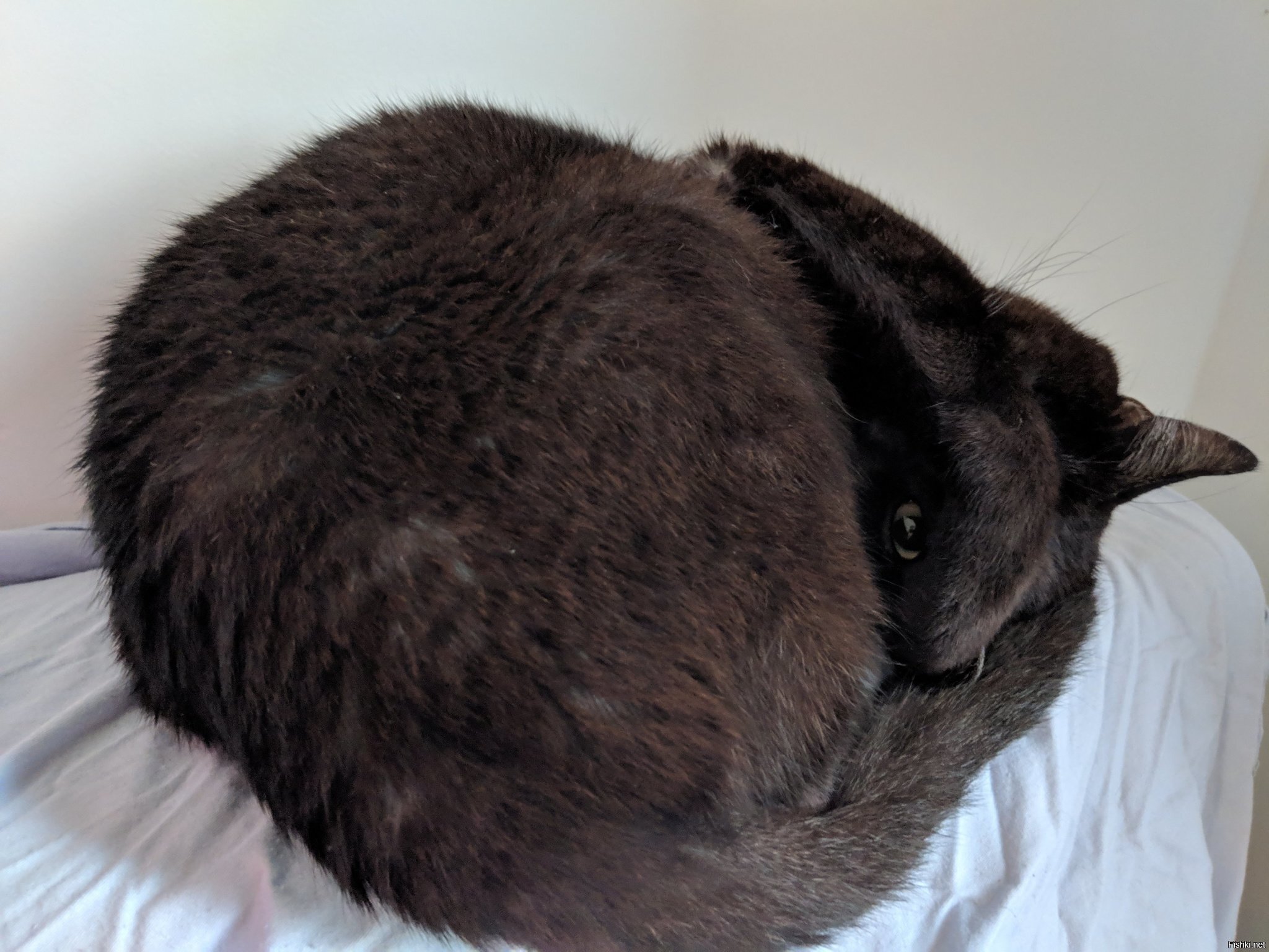 Вас спалили