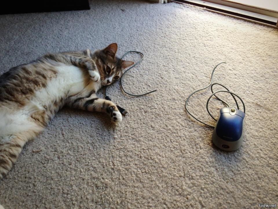 Игра окончена