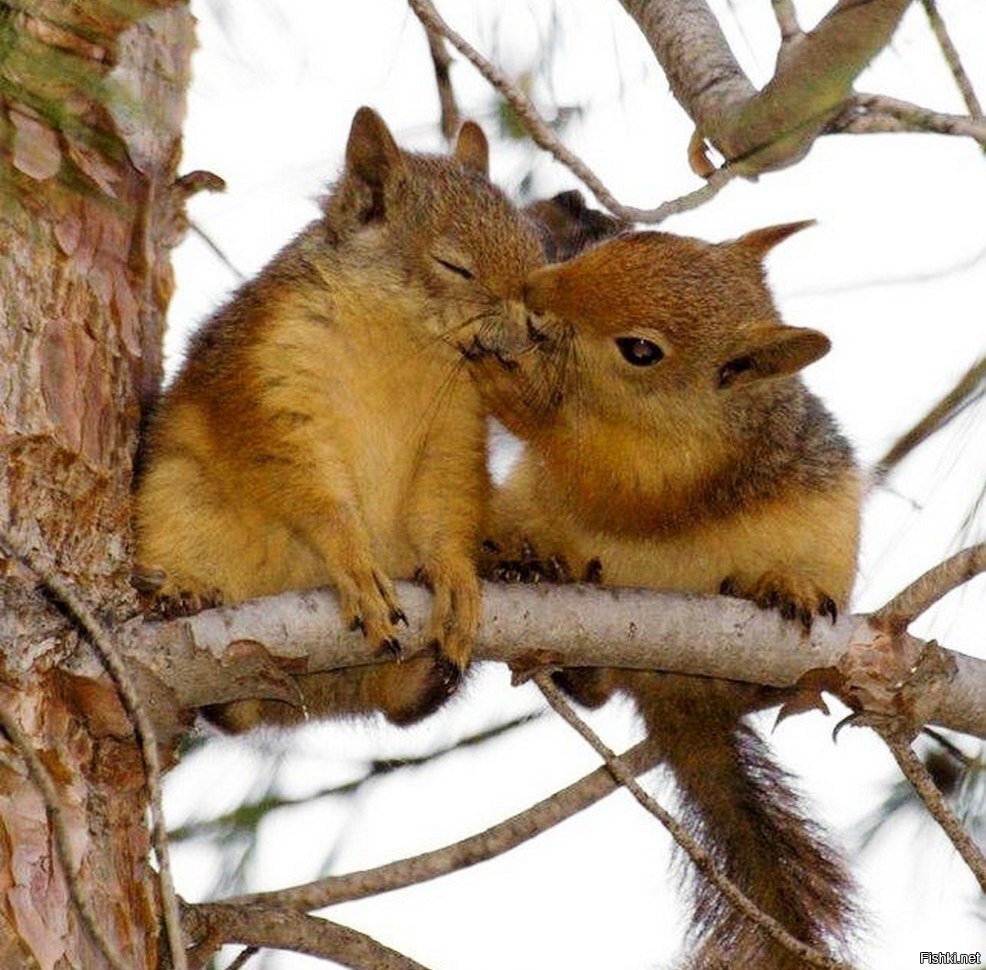 - Говорила тебе, не ходи к мужикам