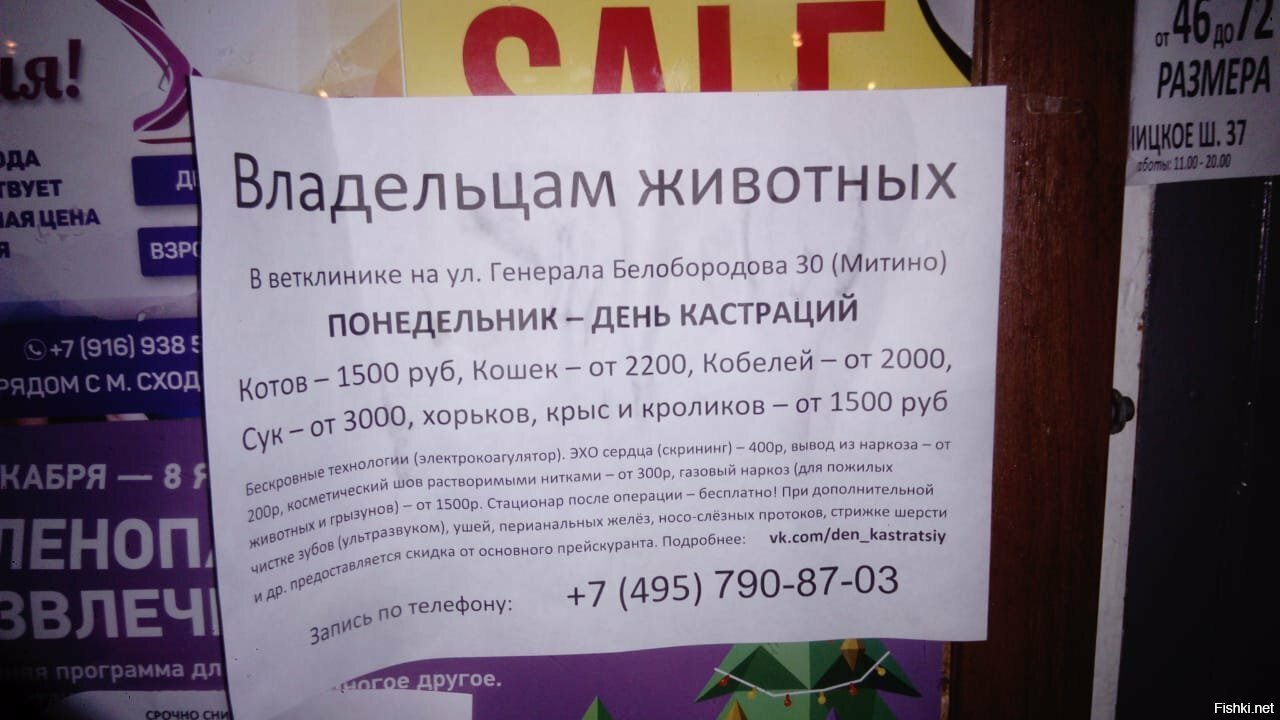 Понедельник - день тяжёлый)