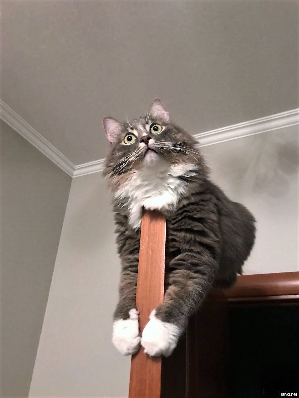 Как интересно, продолжай