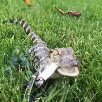 минздрав предупреждал