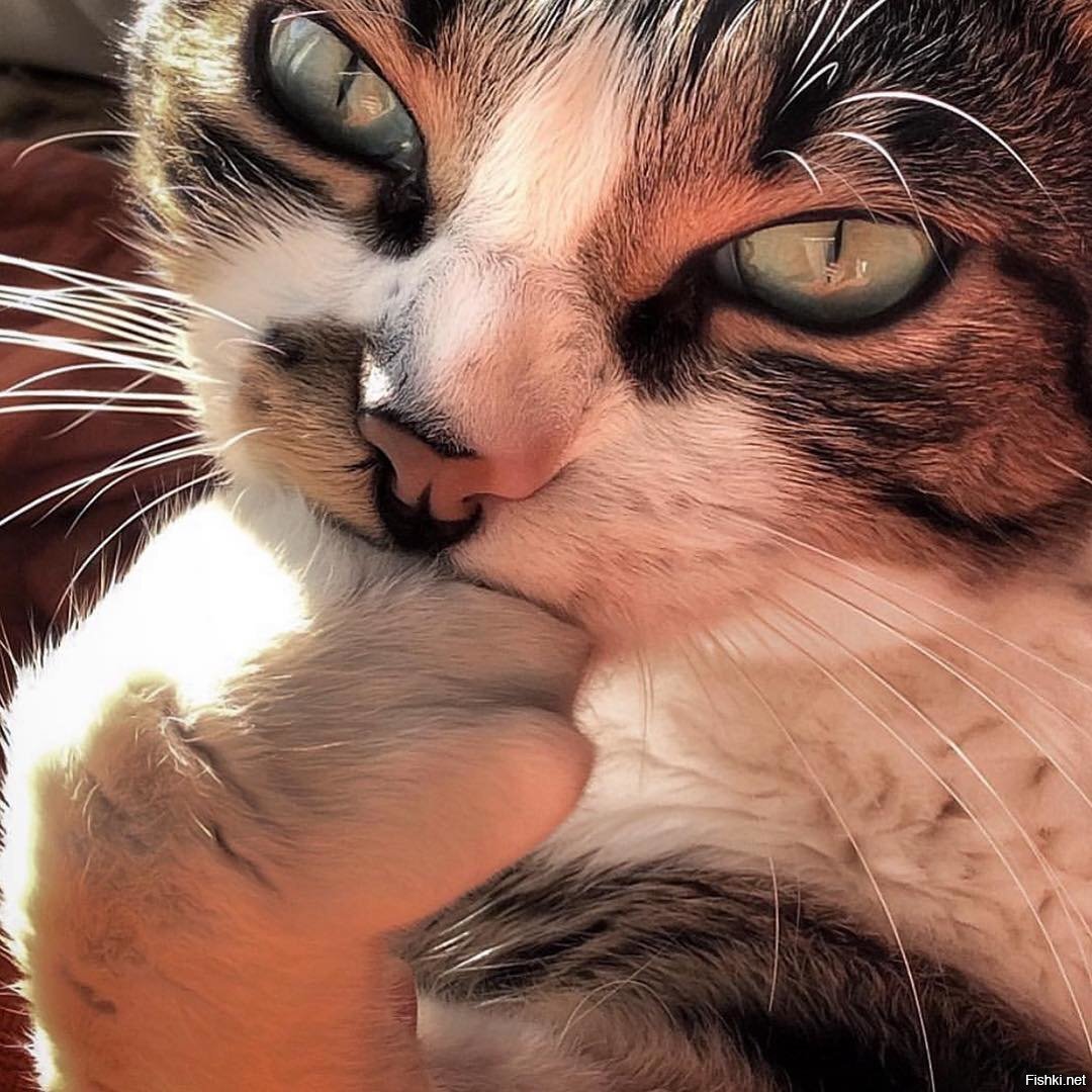 Бездонные глазищи