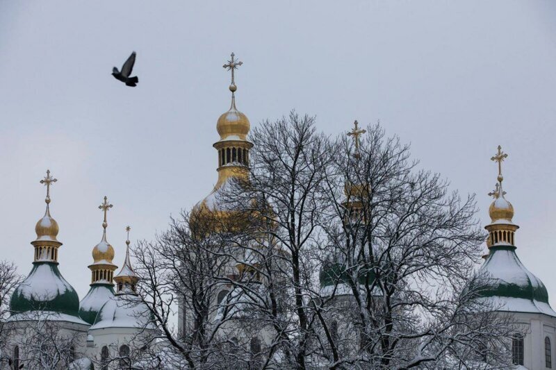 Очень стыдно за таких соседей