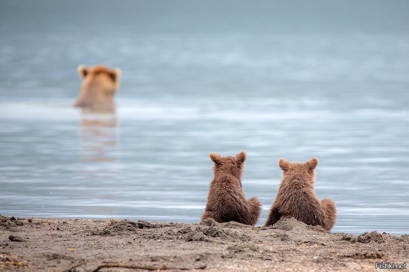 Мам,вода уже тёплая