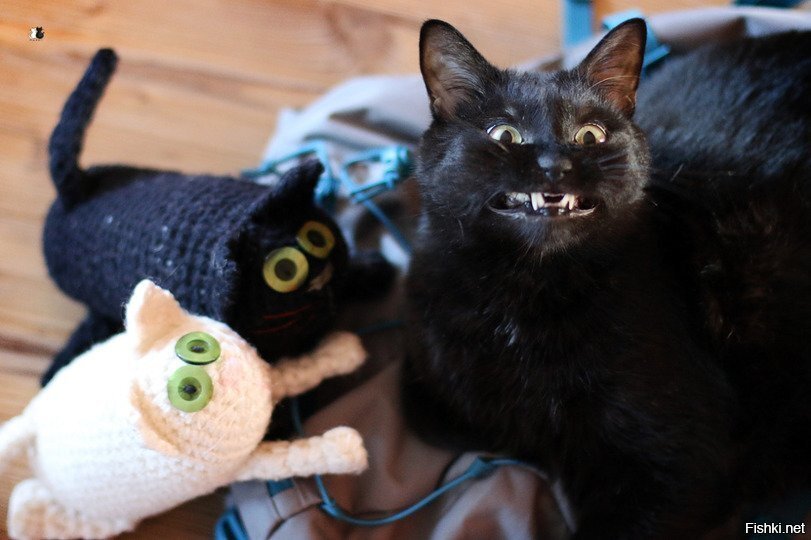 Эту улыбку, пока никто не переплюнул