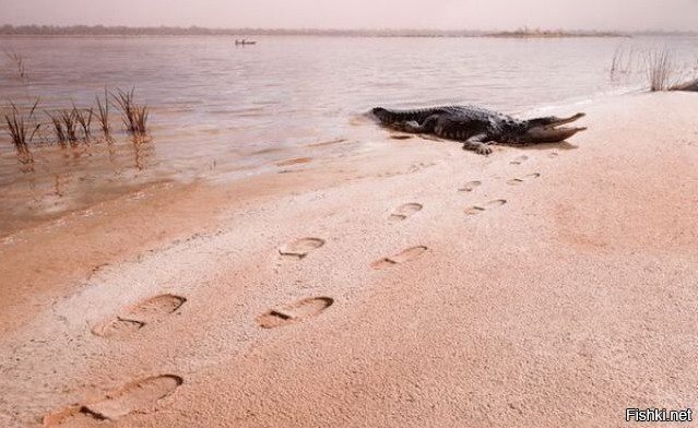 Да не вопрос