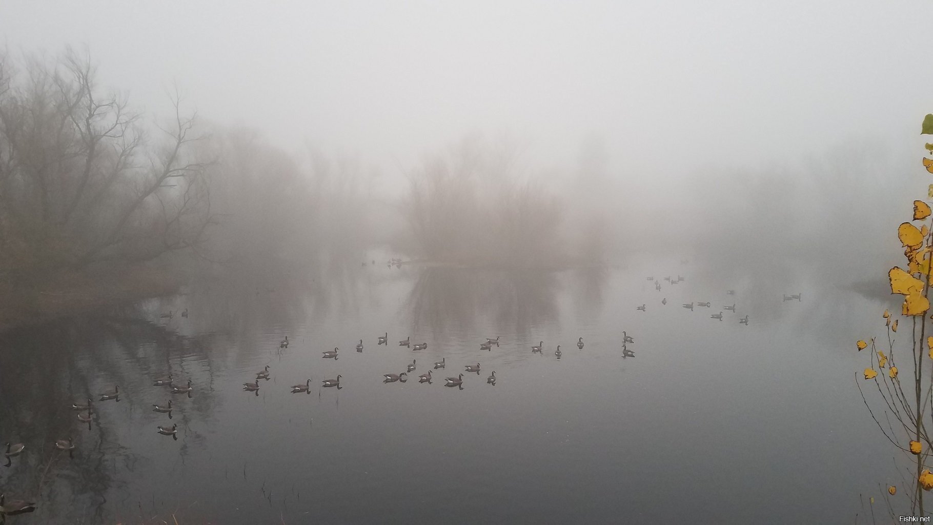а вот на этой фото - мы с женой пошли гулять в парк, на озеро
