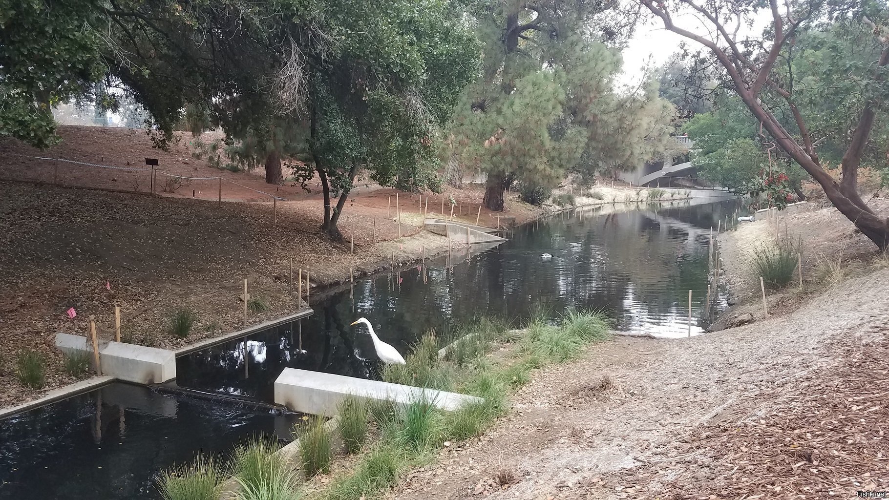 а вот на этом фото - это из озера выиекает ркчушка