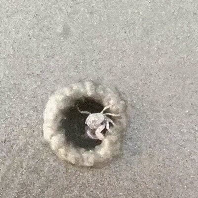 Доброй ночи