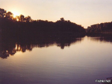 "Золотая яма"