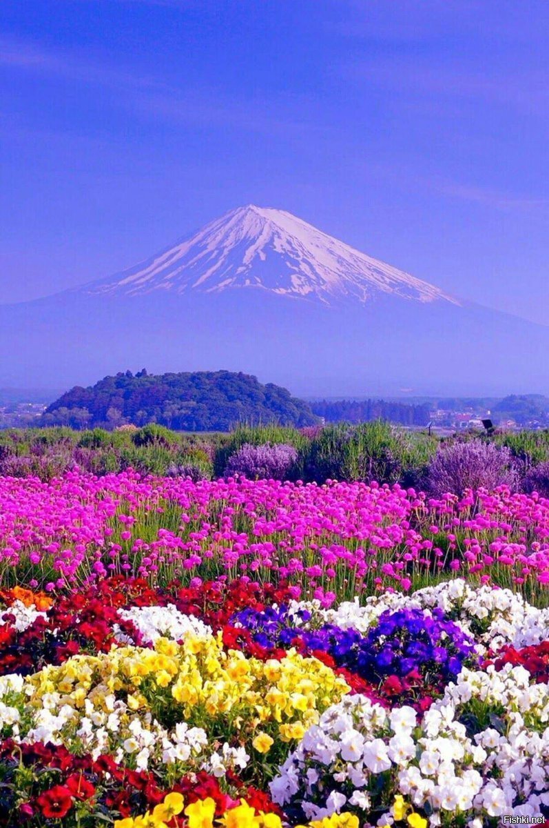 Доброе утро