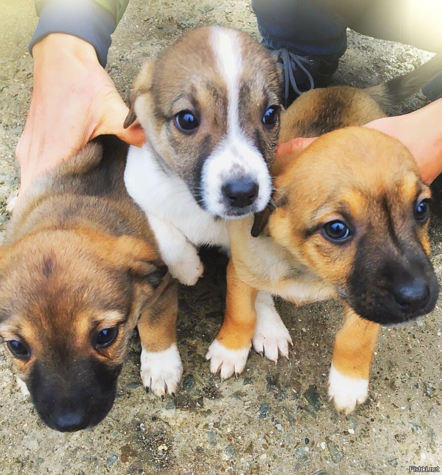 Доброго утра и хорошего дня