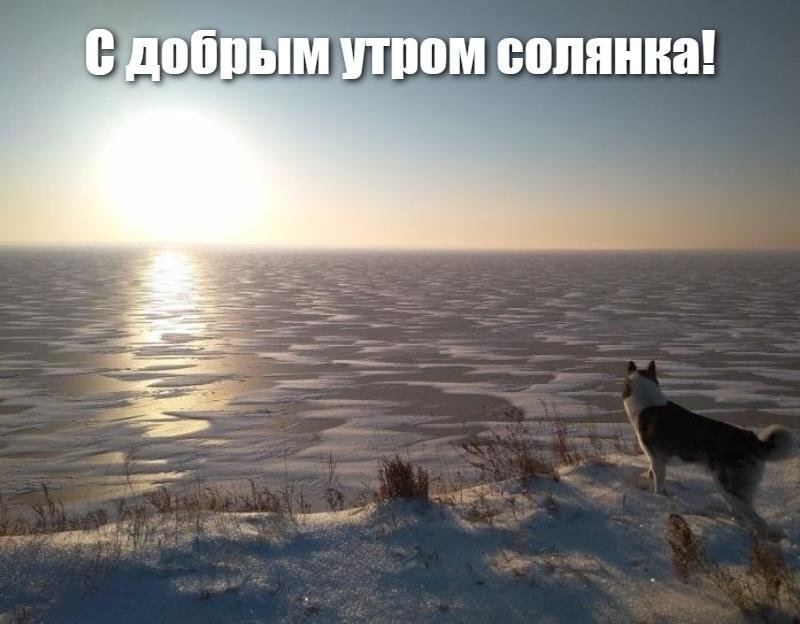 Солянка
