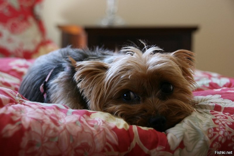 Всем доброго утра