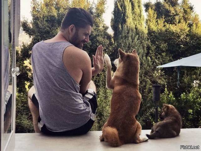 Всем добра на день