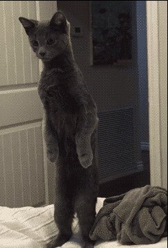 - Божечки, что она там делает