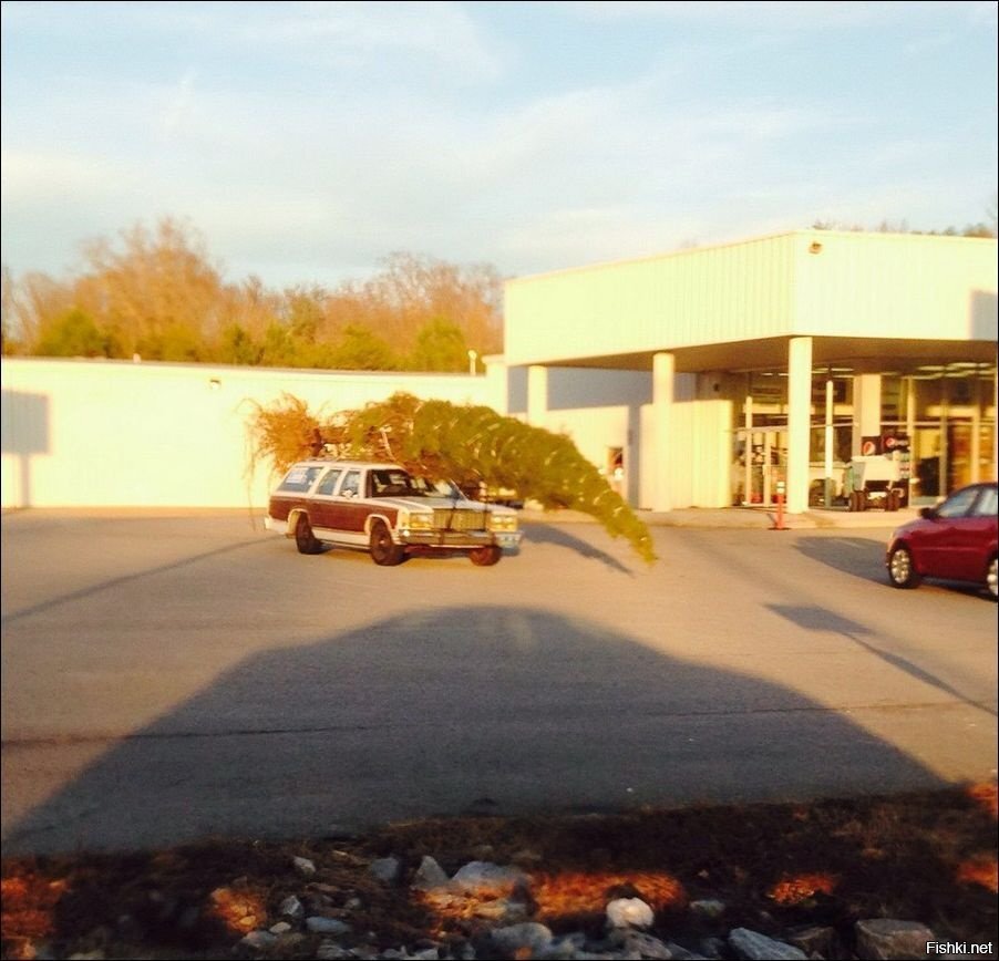 Много разных зверьков