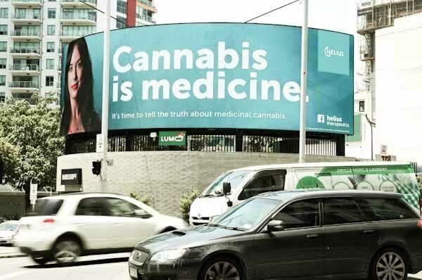 Новая Зеландия легализует марихуану