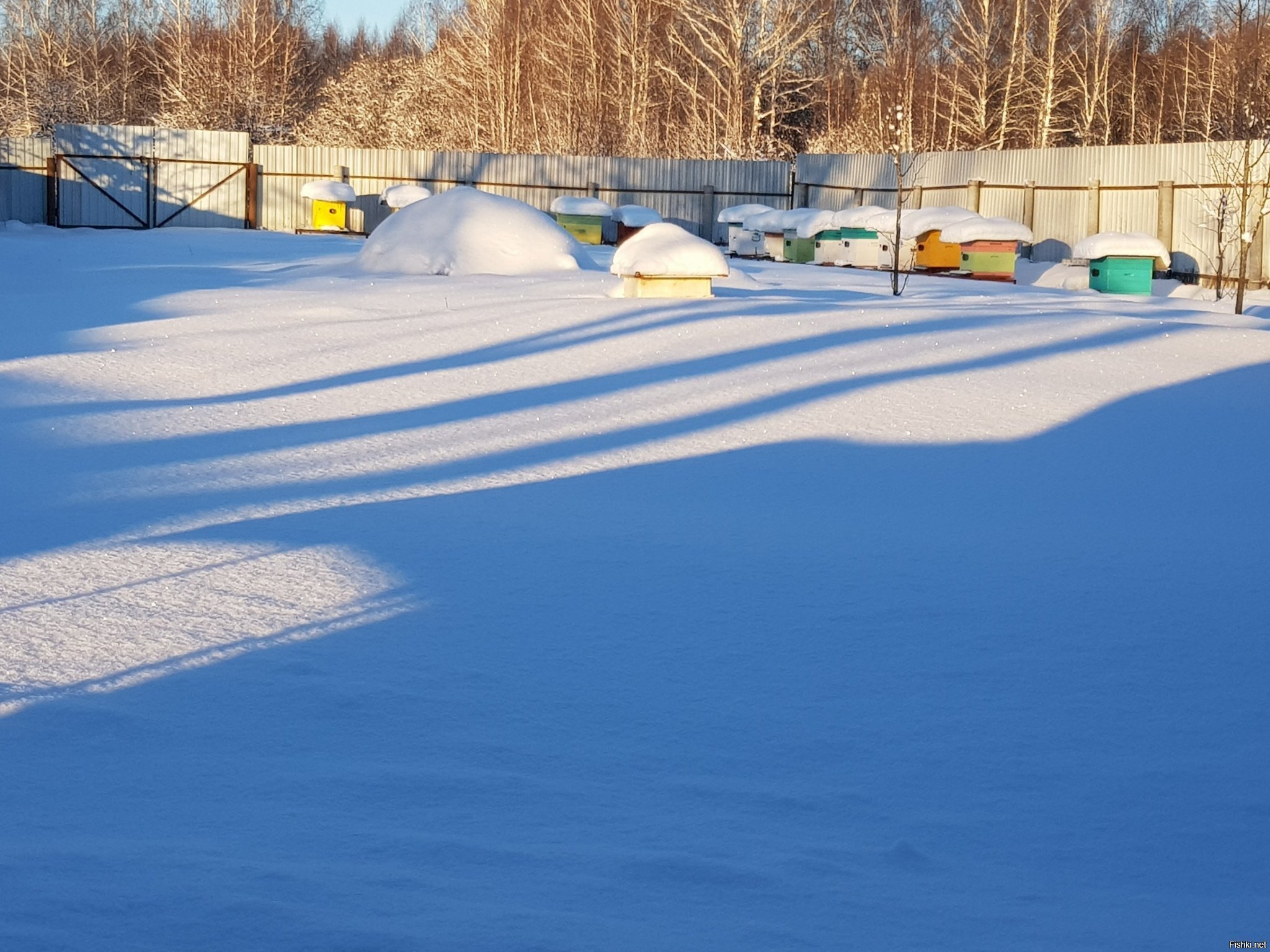 Отдыхают мои зерги