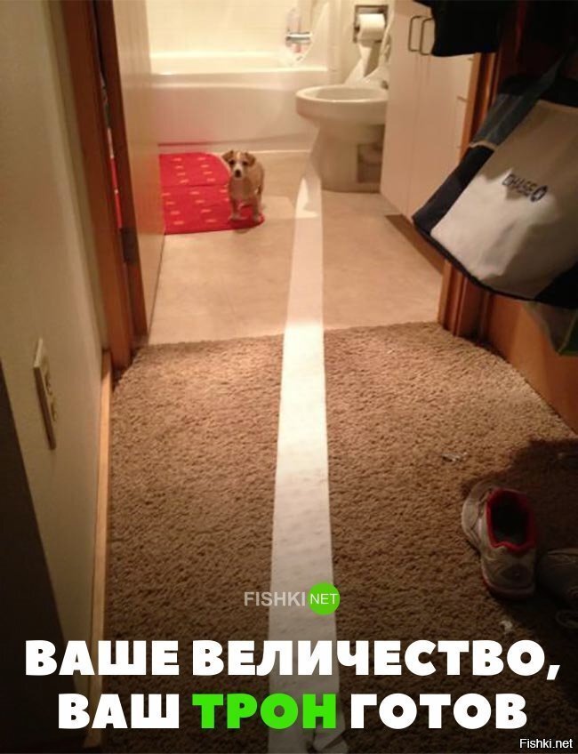 Ваш трон готов