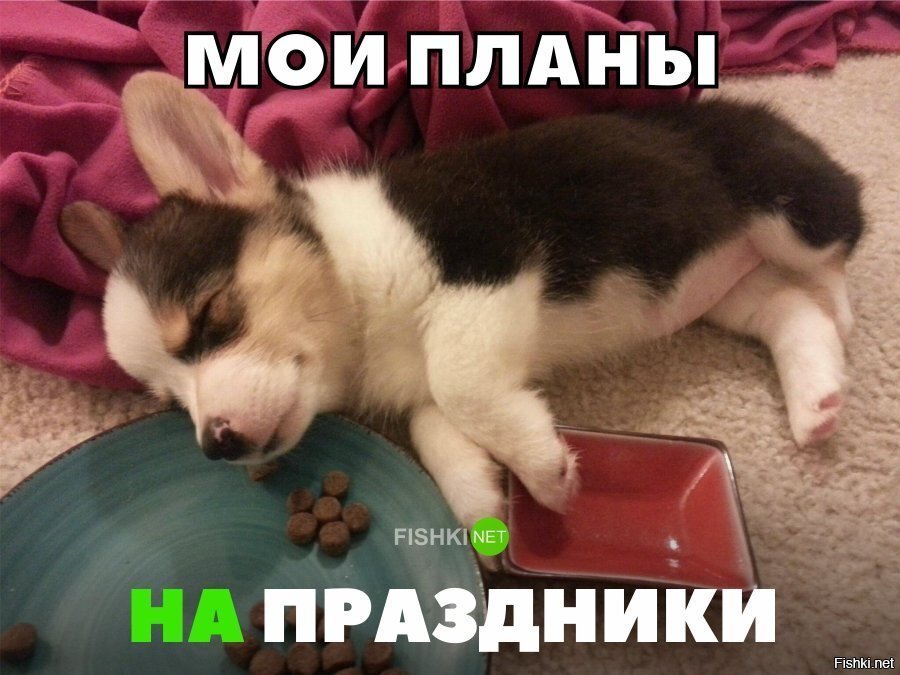Мои планы на праздники
