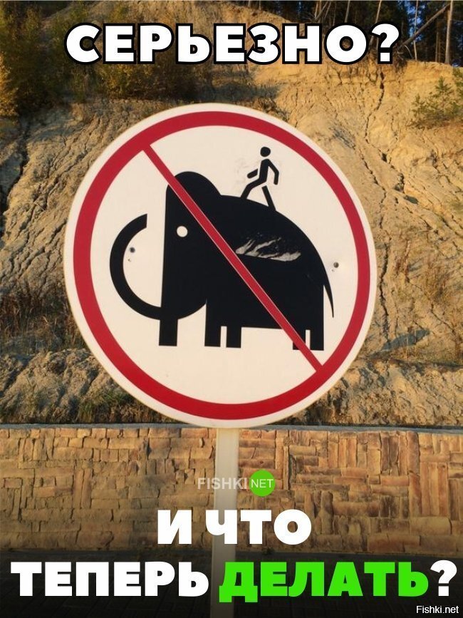 И что теперь делать?