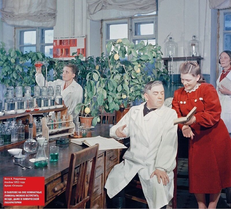 Последний сталинский год, 1952-й, в цвете
