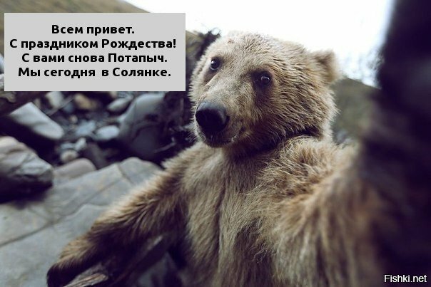 Солянка