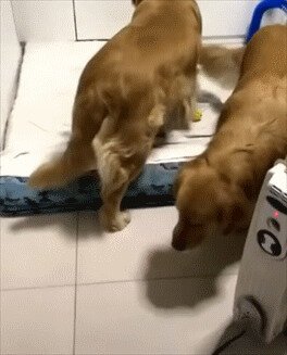 Всем спокойной ночи)))