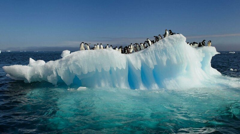 Антарктида теряет в 6 раз больше льда, чем в 1970-е, угрожая многометровым подъемом уровня моря