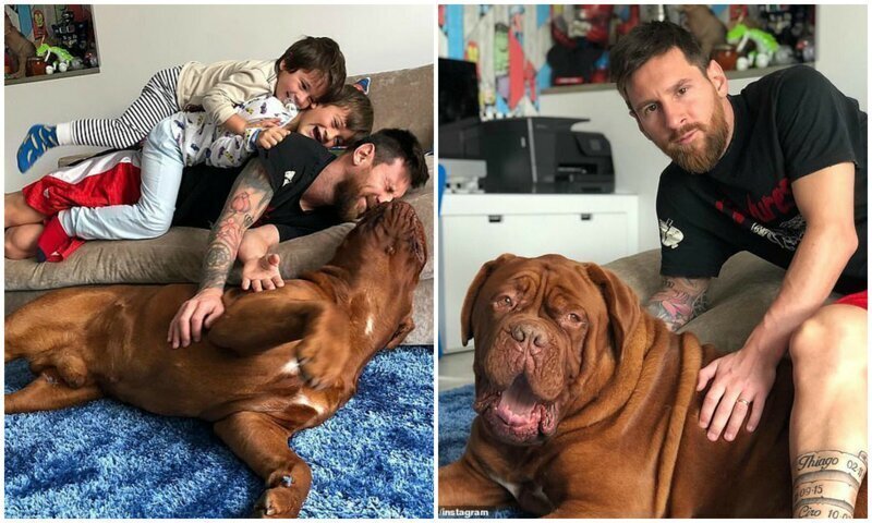 Лео Месси поделился новым домашним фото с сыновьями и псом Халком