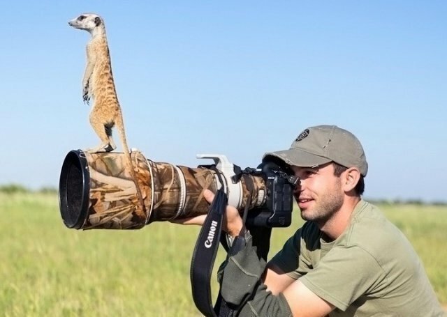 Фото для хорошего настроения