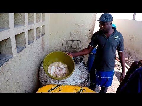 Ужасы Африканской кухни, чем накормят вас в Мапуту