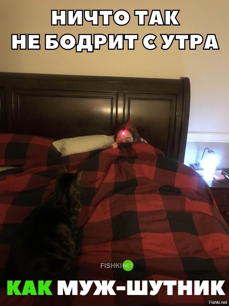 Лучше любого будильника