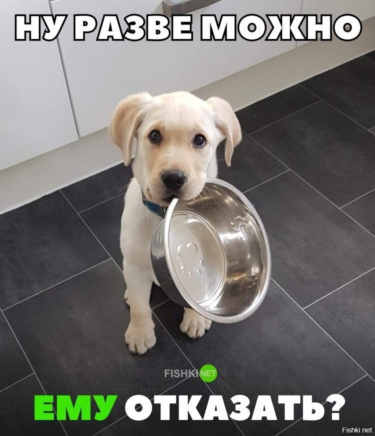 Как можно отказать?
