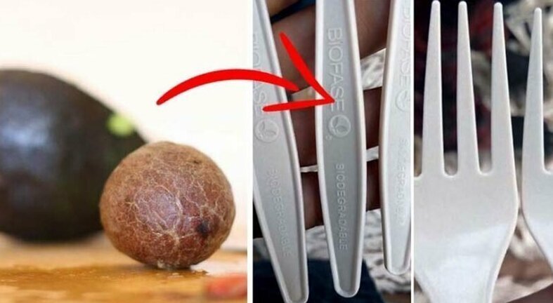 Мексиканская компания использует косточки от авокадо для создания столовых приборов