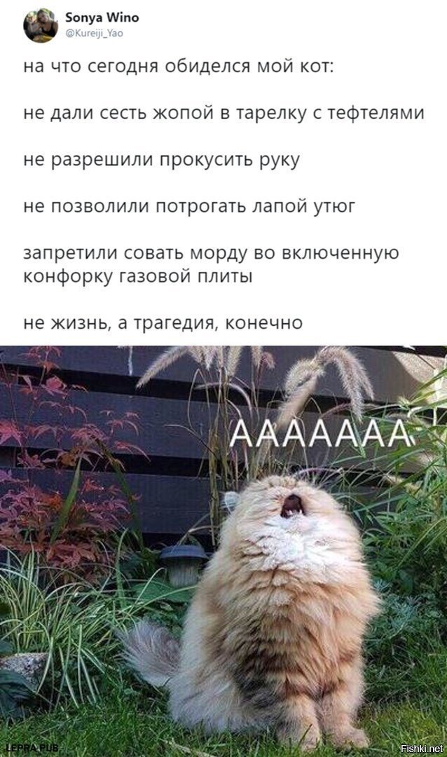 Не дали нагадить мимо 