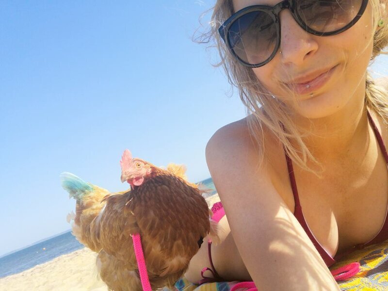 Девушка подружилась с курицей и берет ее с собой на пляж