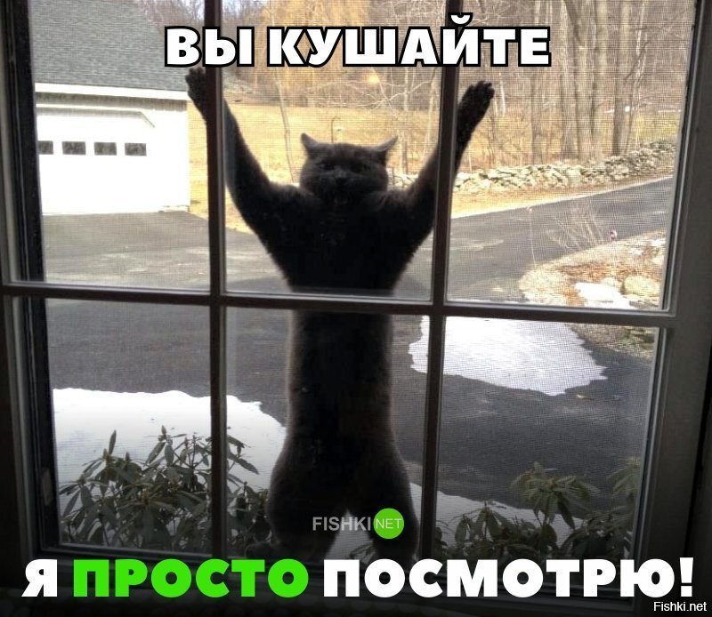 Кушайте , кушайте