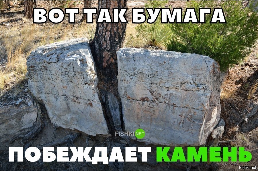 Вот так бумага побеждает камень