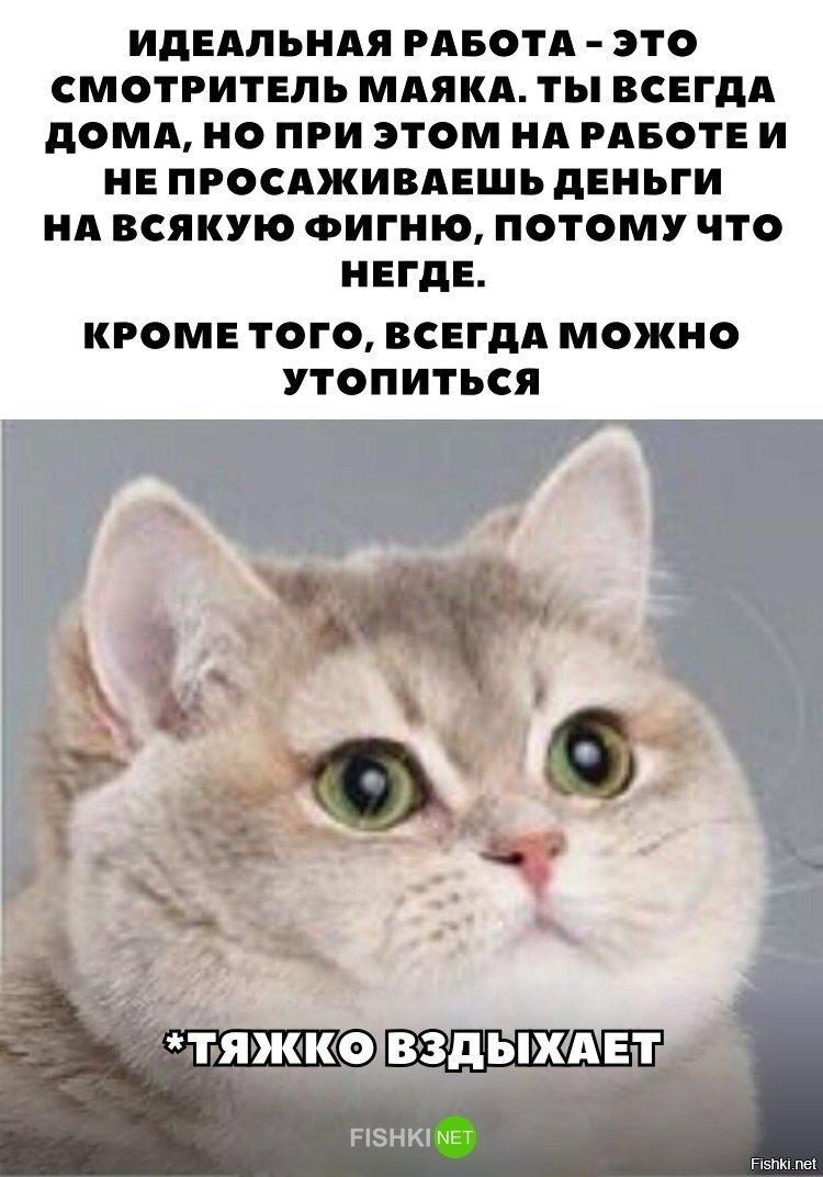 Идеальная работа