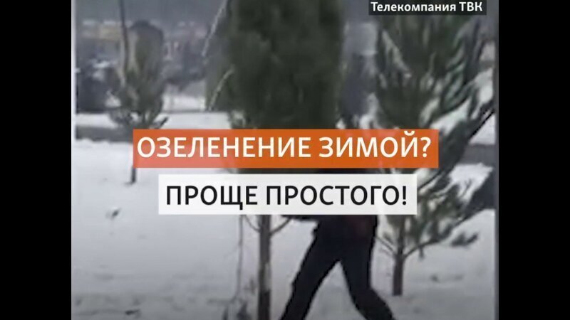 К приезду Путина на улицы Красноярска завозят белый снег и втыкают в землю ёлки