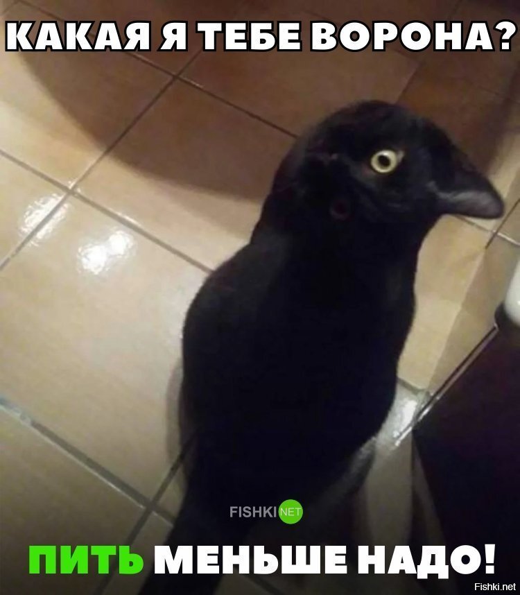 Пить меньше надо