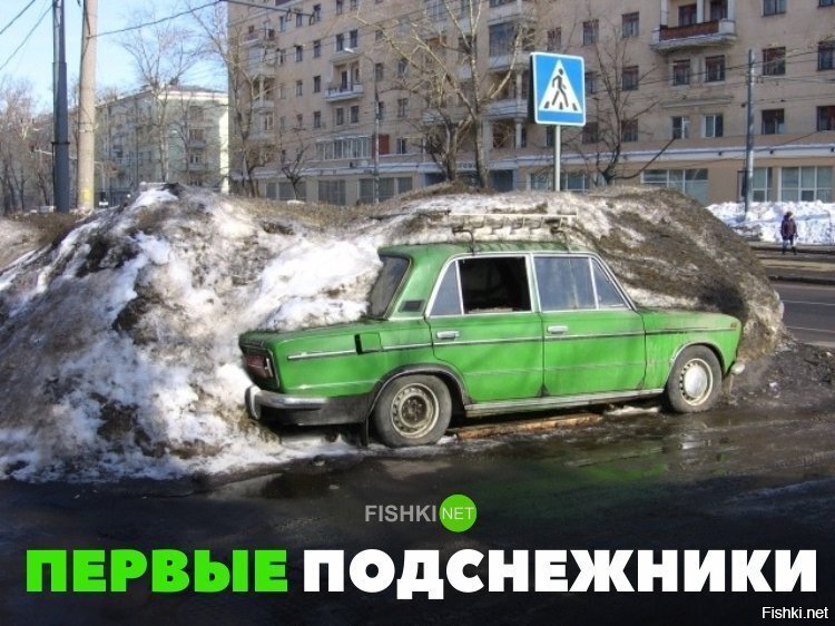 Первые подснежники