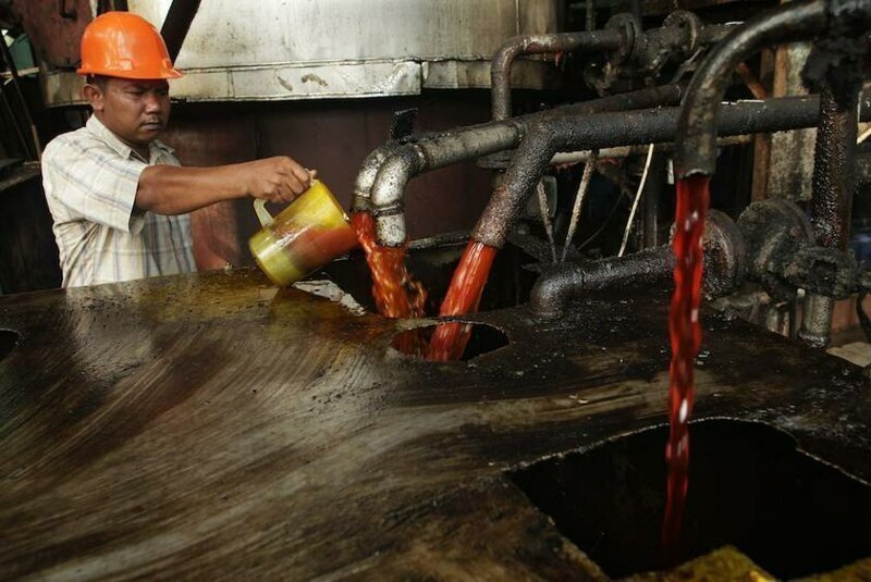 Миллион тонн пальмового масла для России. Безумие или вредительство?